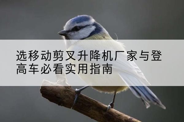 卧龙电动升降机厂家-选移动剪叉升降机厂家与登高车必看实用指南