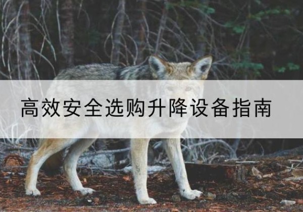 卧龙升降货梯厂家推荐-*安全选购升降设备指南