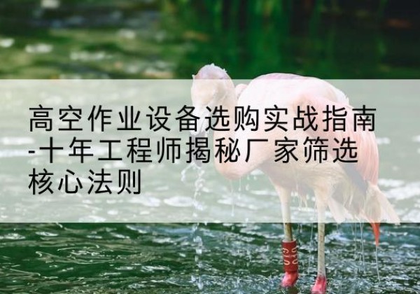 卧龙剪叉式升降机厂家-高空作业设备选购实战指南-十年工程师揭秘厂家筛选核心法则